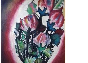 Gloriańskie   Tulipany