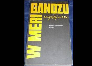 W Meri Gandżu, zwykłej wiosce - Phaniśwarnath Renu