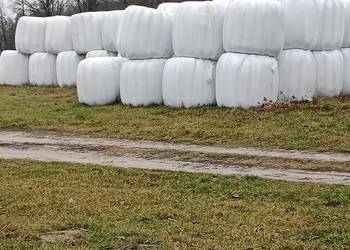 Sprzedam sianokiszonke