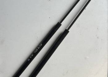 amortyzatory teleskopy tylnej klapy Renault Mégane Scenic 1