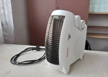 Grzejnik elektryczny