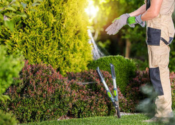 Pracę ogrodnicze i nie tylko