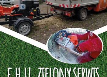 Pielęgnacja drzew, terenów zieleni, wycinka