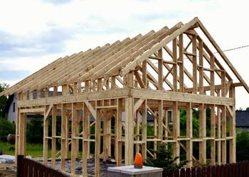 Konstrukcja szkieletowa