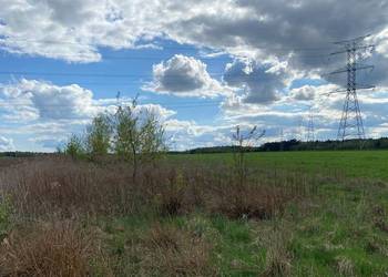 Syndyk sprzeda nieruchomość gruntową w Przyłęku