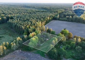 Siedlisko na skraju lasu | 3700 m² | Tomaszew, gm. Wiskitki