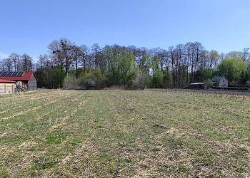 Sprzedam działkę 29 ar w Anielinie