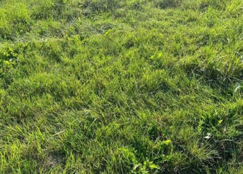Do sprzedaży działka Sarbinowo 1000m2