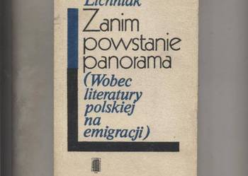 Zanim powstanie panorama