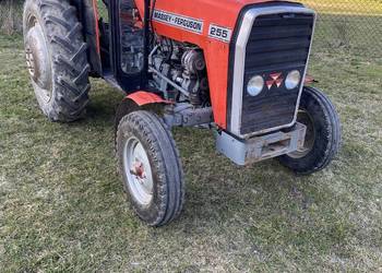 Sprzedam Traktor Massey-Ferguson 255