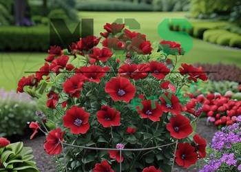 stal ocynkowana bardzo solidne - Podpory ogrodowe do roślin / kwiatów –