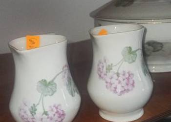 Mlecznik Carl Tielsch, Ct Altwasser. Liliowe hortensje na biał