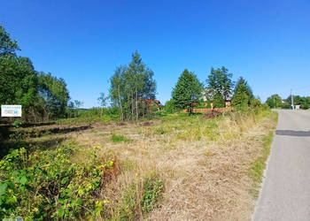 Oferta sprzedaży gruntu Raków 9100m2