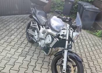 Yamaha fz6n