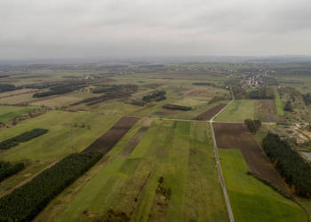 Sprzedam Pole