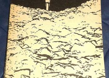 Kwiat na ruinie - Ireneusz J. Kamiński