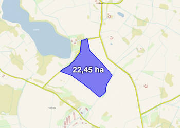 Działka z Warunkami Zabudowy 22,45 ha – Żabin, gm. Banie Mazurskie