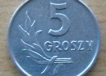 POLSKA-5 GROSZY-1967 r-AL-zzm-