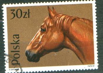 Zn. Fi 3046 kas 1989