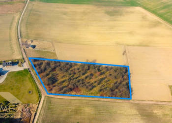 Oferta sprzedaży działki Czernica 7500m2