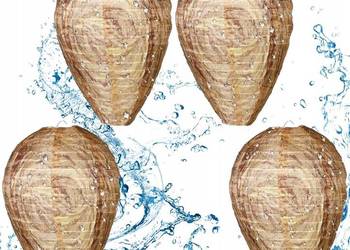 Wiszący wabik na gniazdo osy 4 szt.