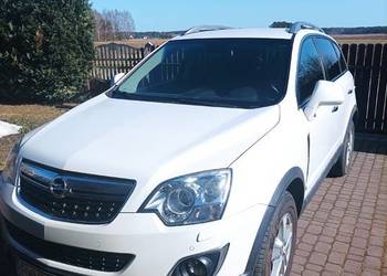 Sprzedam fajna Antare