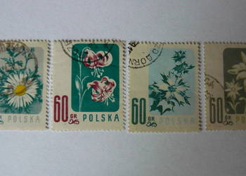 Znaczki kwiaty Polskie 1951 - 1960 r