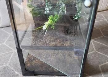 Terrarium