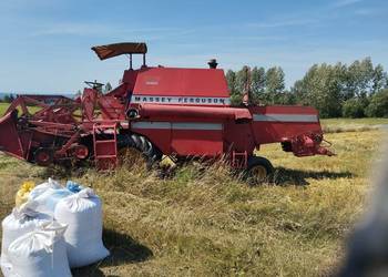 Kombajn rolniczy Massey Ferguson 206