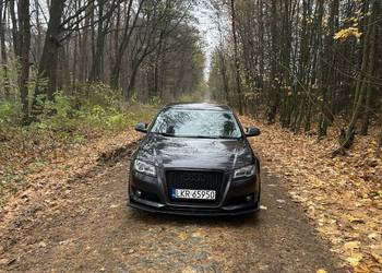 Audi A3 8p 1.8 TFSI