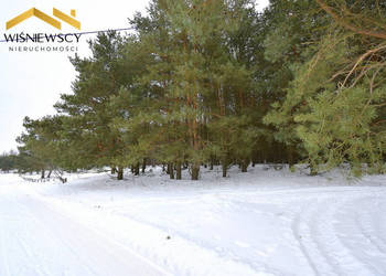 Działka budowlana 3002m2, uzbrojona z lasem