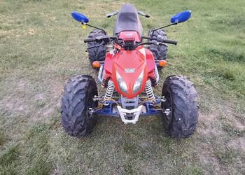 Quad Bashan pitbull