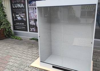 Terrarium dla agamy błotnej, legwana zielonego, boa