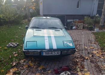 Sprzedam simke