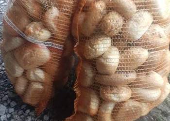 Sprzedam pieczywo ze zwrotów