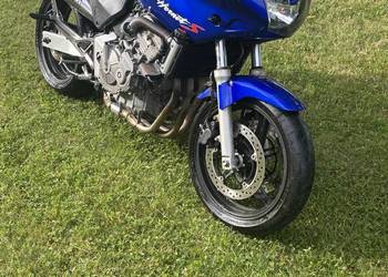 Honda Hornet