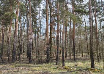 Działka budowlana Piotrków Tryb. Wojska Polskiego