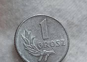 Sprzedam monete 1 grosz 1949 rok