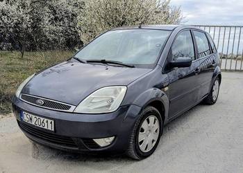 Ford Fiesta 2004 222634km przebiegu 1.4 diesel