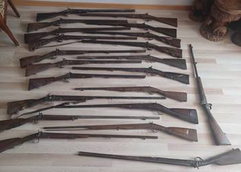 Kolekcja XIX Wiecznych czarnoprochowek.