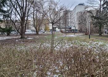 Niezabudowana nieruchomość przy ul. Piotrkowskiej w Łodzi