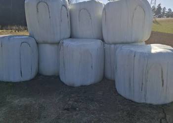 Sprzedam siano kiszonkę