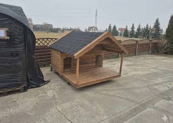 Buda dla psa "Bliźniak "Beagle