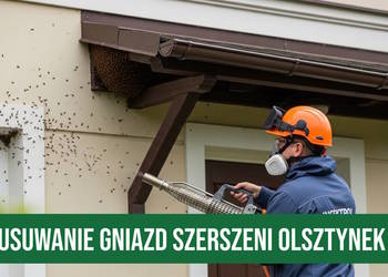 Zwalczanie Szerszeni Olsztynek - Usuwanie Gniazd Szerszeni