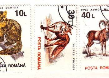 Zn. Rumunia Mi 4901, 5, 6 kas 1993