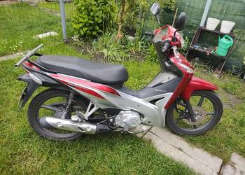 Honda Wave 110i