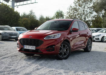 Ford Kuga 1.5 Ecoboost 150 KM ST Line X Salon PL PO9TV90 III (2019-)