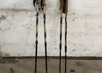 Kijki do nordic walking
