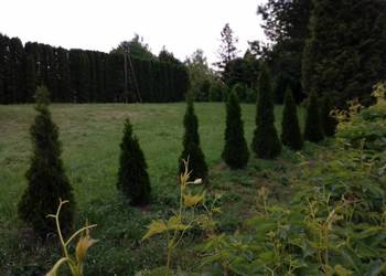 Sobiecin .37-500 Jarosław działka budowlana 660 m 2