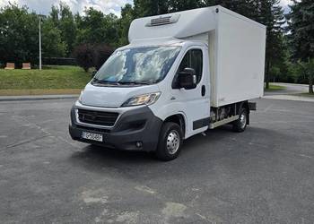 Fiat Ducato 2.3 Mutijet 2016r chłodnia FV23%